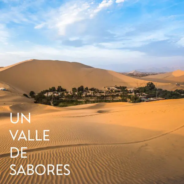 ceviche peruano tradicional